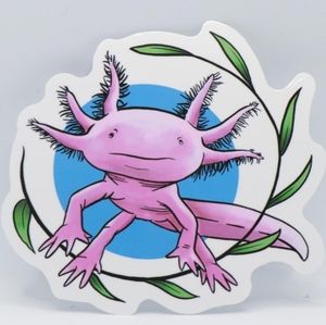 Meet your Posher, Gabi